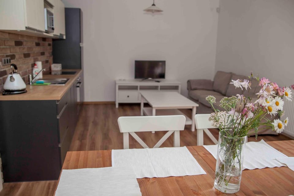 Jitkovsky mlyn Apartment in Czechia