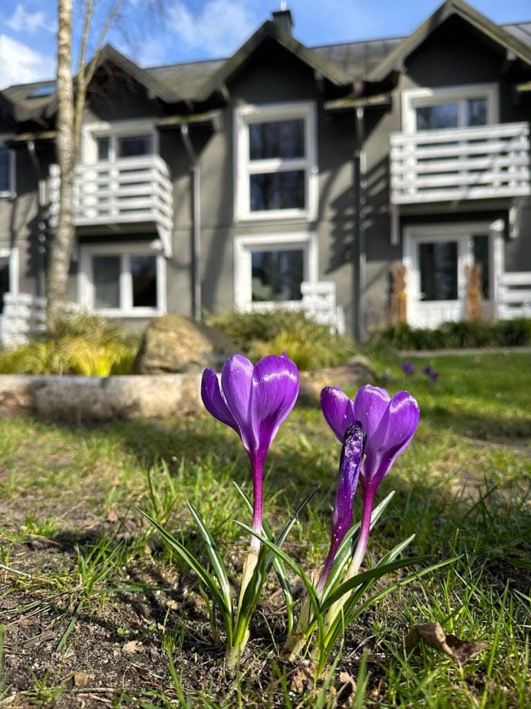 Apartamenty Marszallówka Apartment in Pomeranian Voivodeship