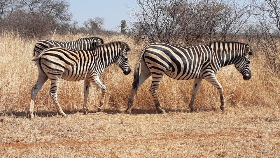 Sondela Nature Reserve & Spa Makhato Lodges Nature lodge in South Africa