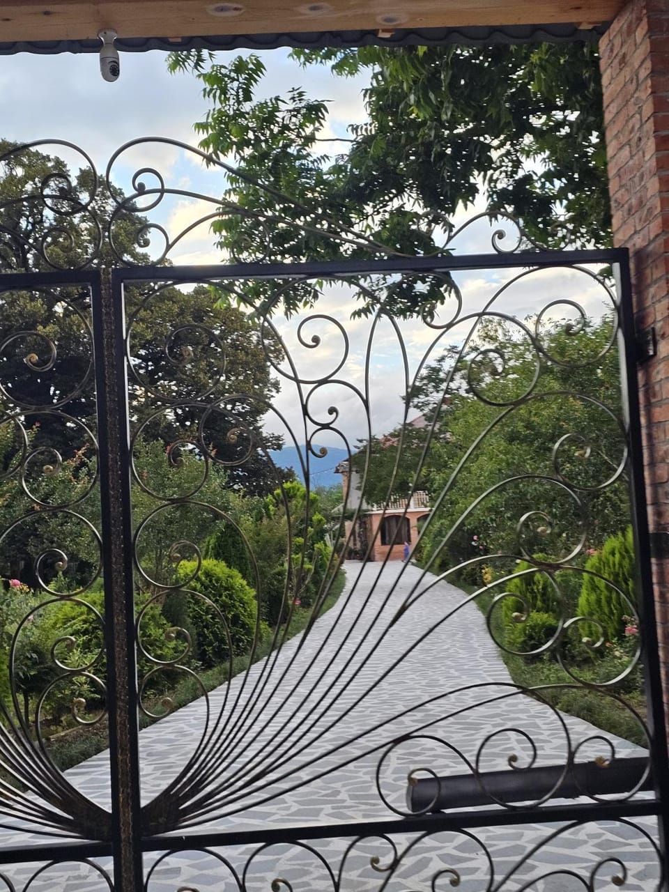 Guesthouse Kamelia Bed and Breakfast in Georgia