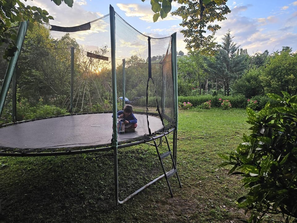 Guesthouse Kamelia Bed and Breakfast in Georgia