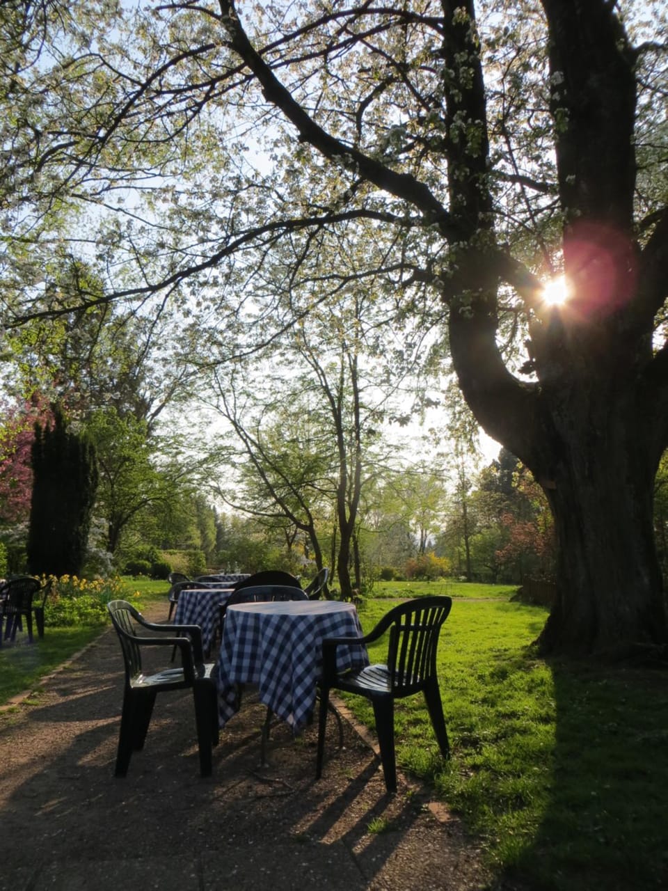 Spring, Summer, Garden