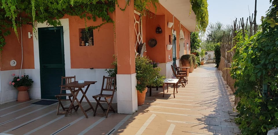 Patio, Facade/entrance