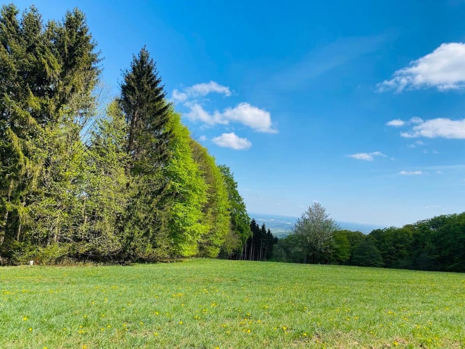 Natural landscape, Other