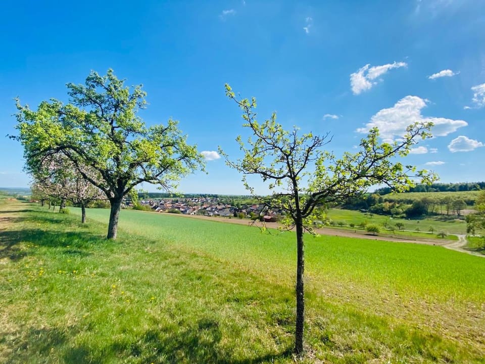 Natural landscape, Hiking