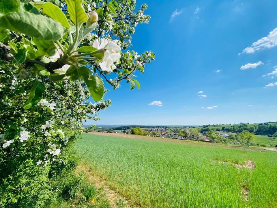 Natural landscape, Other, Hiking