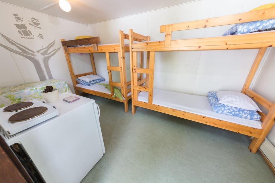 Photo of the whole room, Decorative detail, bunk bed