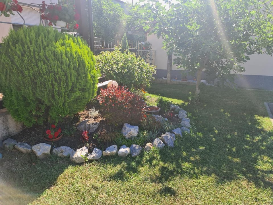 Property building, Garden, Garden view