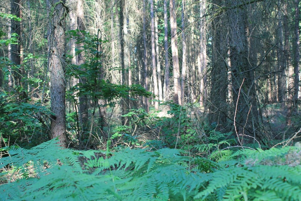 Off site, Natural landscape, On site
