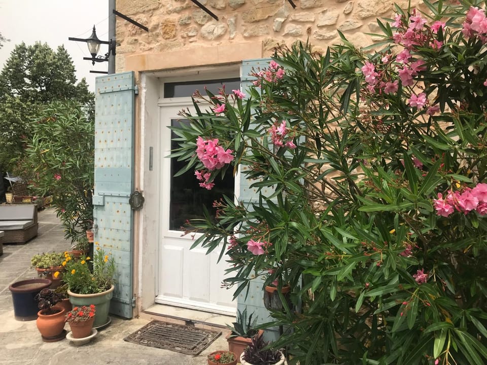 Property building, Patio, Facade/entrance, Garden