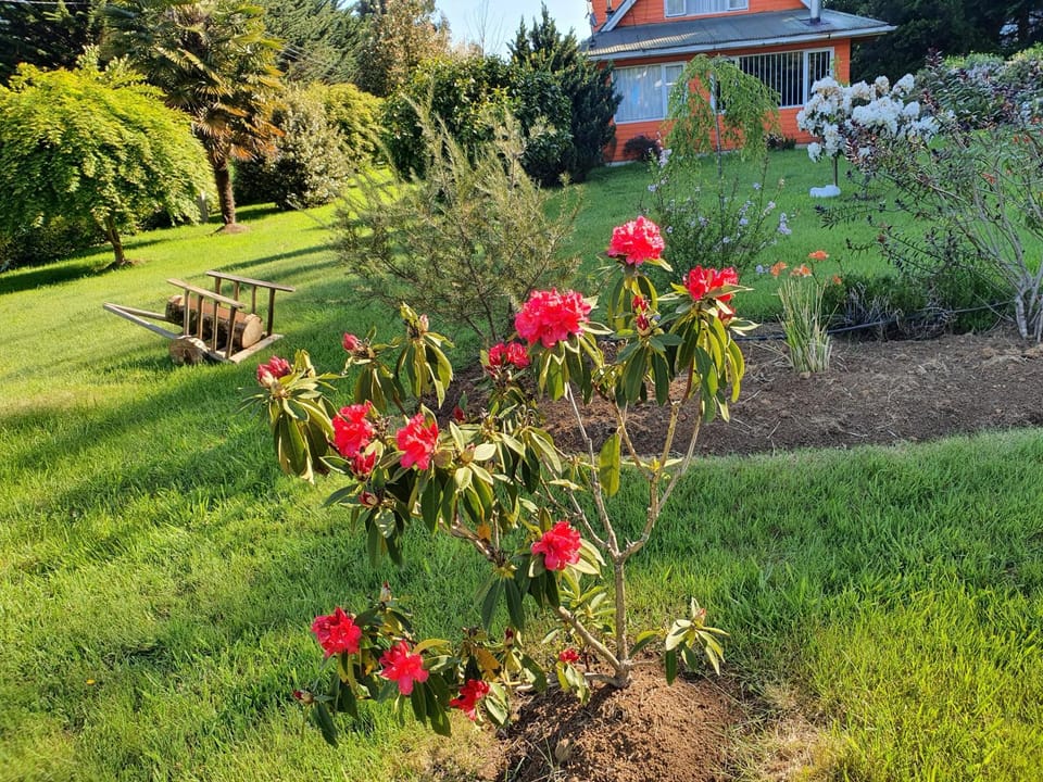 Cabañas Llancahue Bed and Breakfast in Valdivia