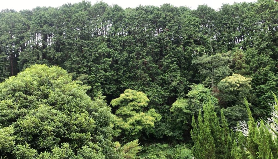 Natural landscape