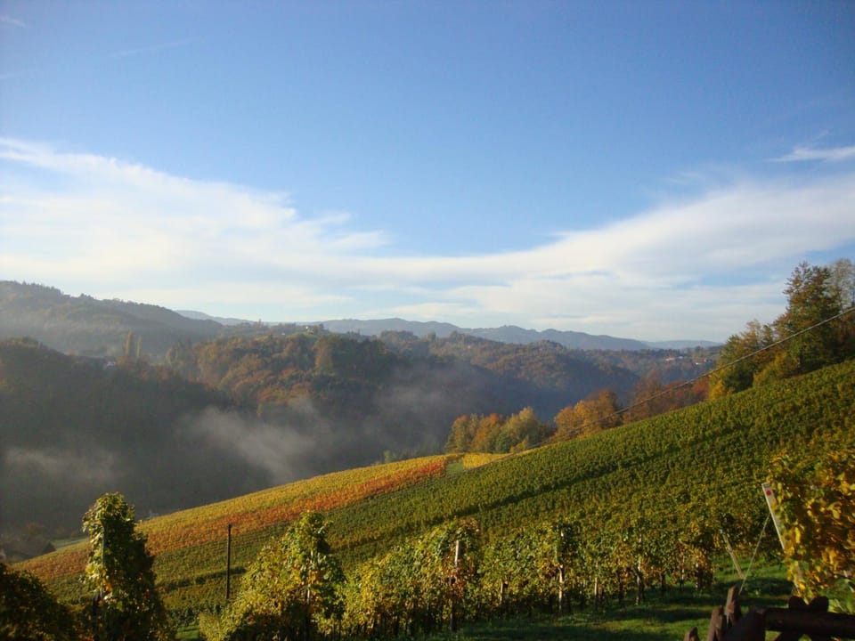 Natural landscape