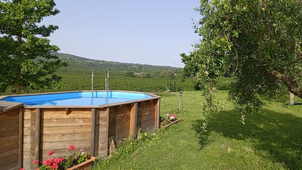 Natural landscape, Garden, Garden, Guests, Pool view, Area and facilities, Swimming pool