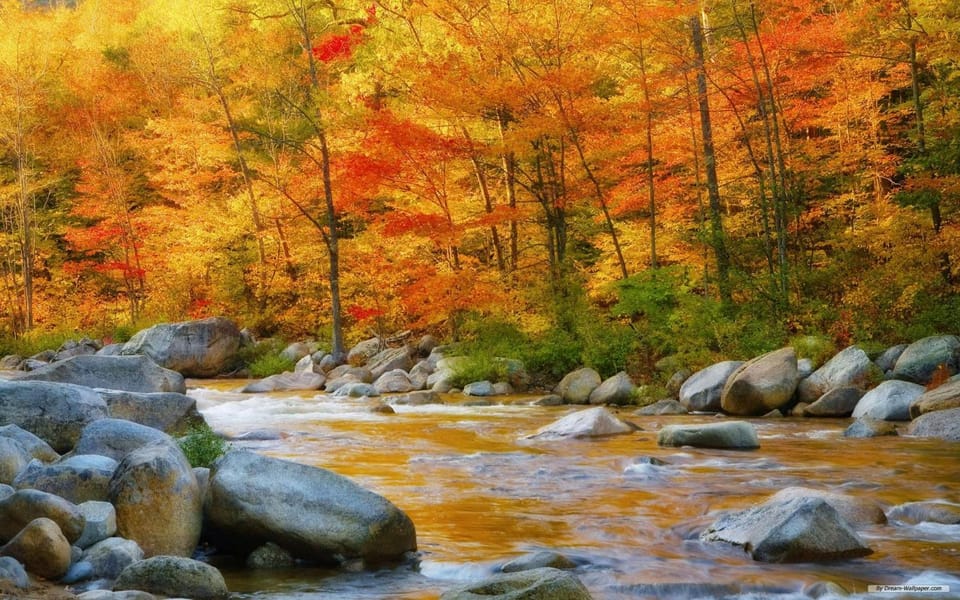 Natural landscape