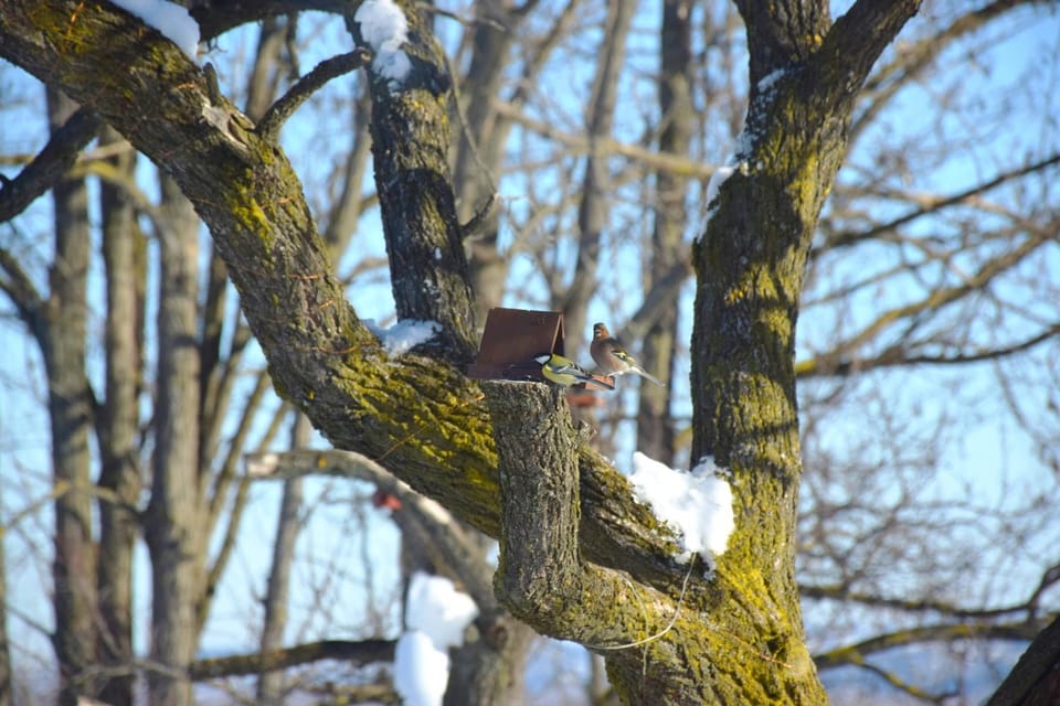 Honey hill apartment Fruska Gora Villa in Novi Sad