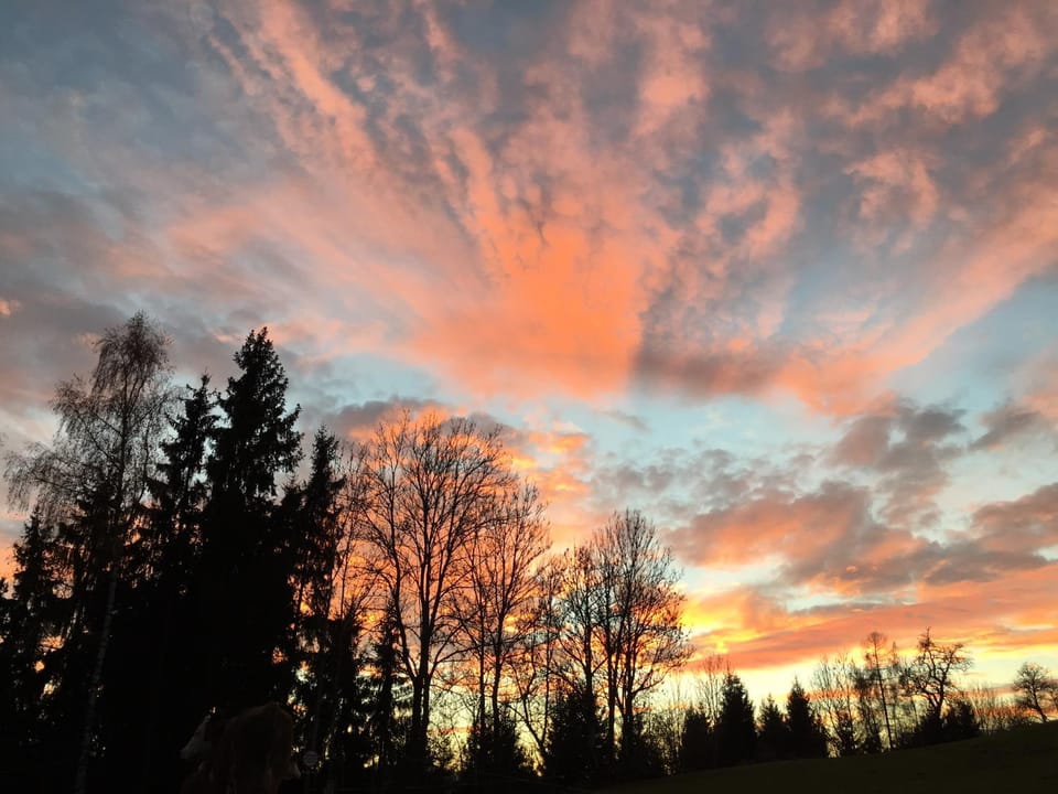 Gasthof Wadl Inn in Carinthia, Austria
