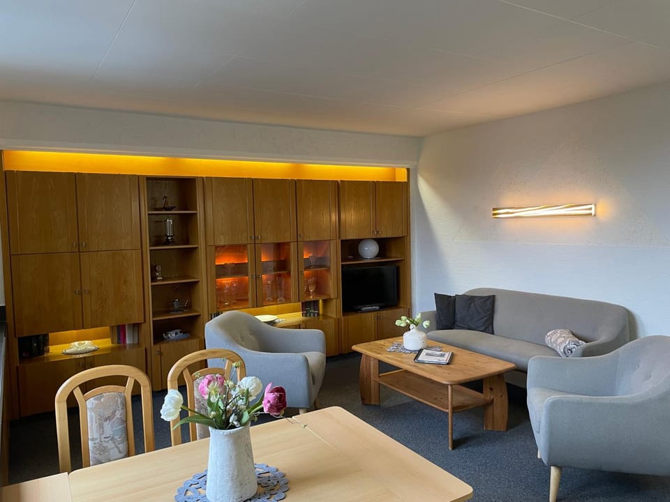 Living room, kitchen