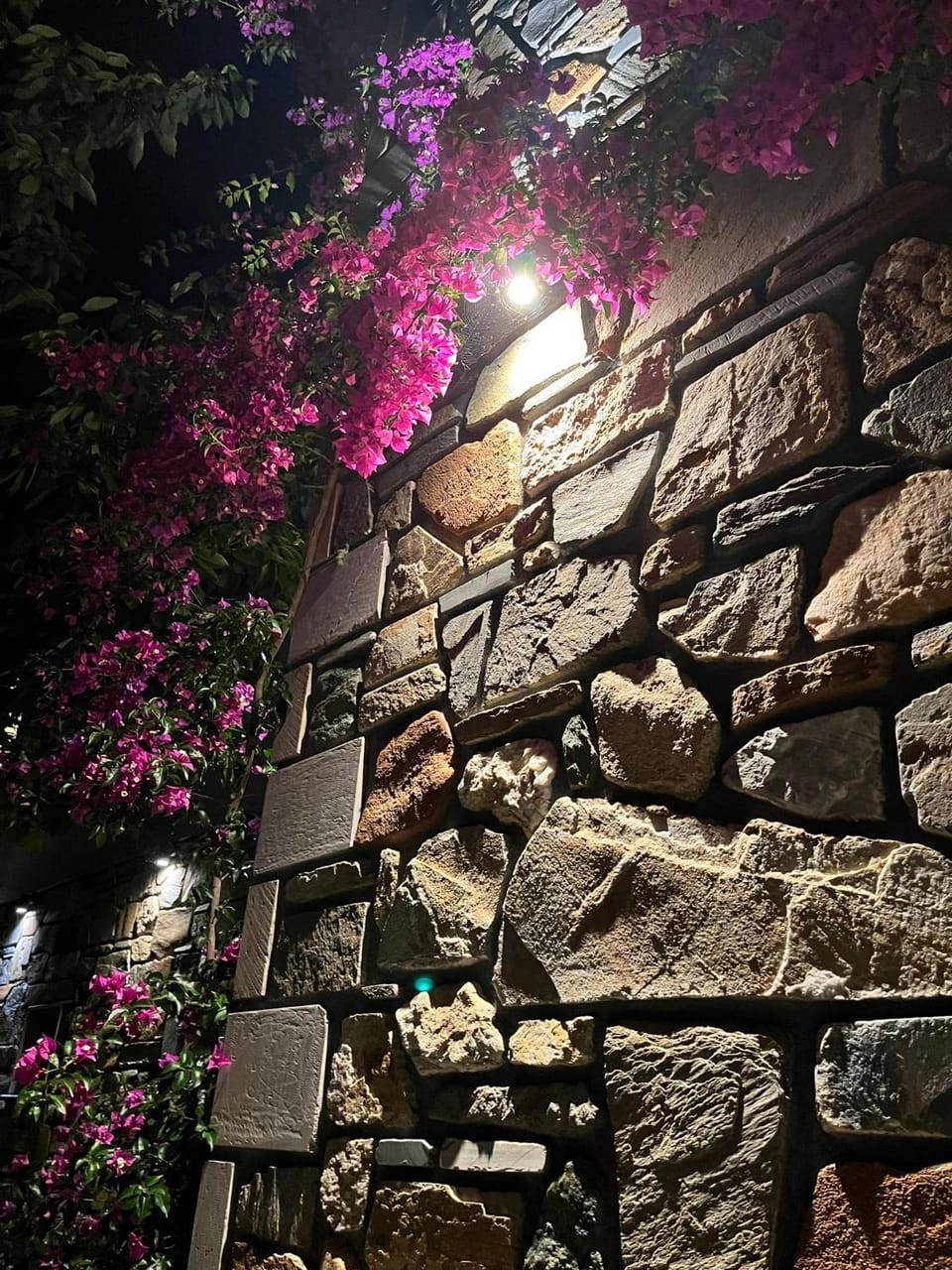Villa Anna Apartment in Halkidiki