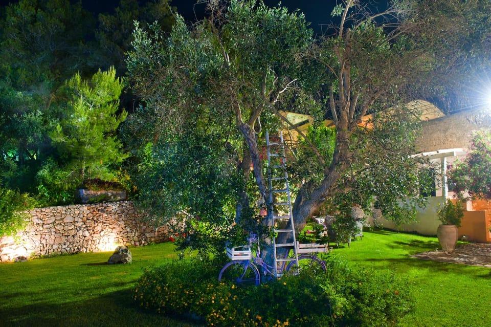 Garden, Garden view