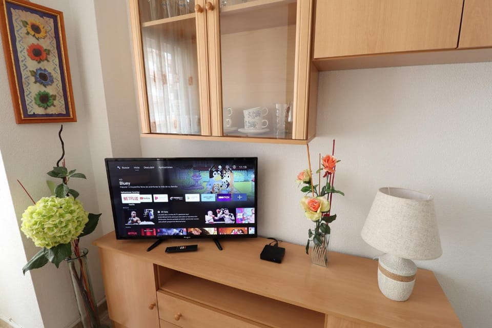 TV and multimedia