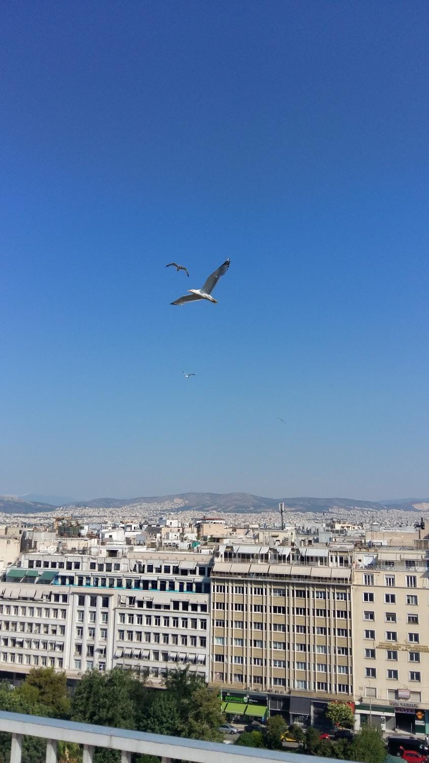 Day, City view