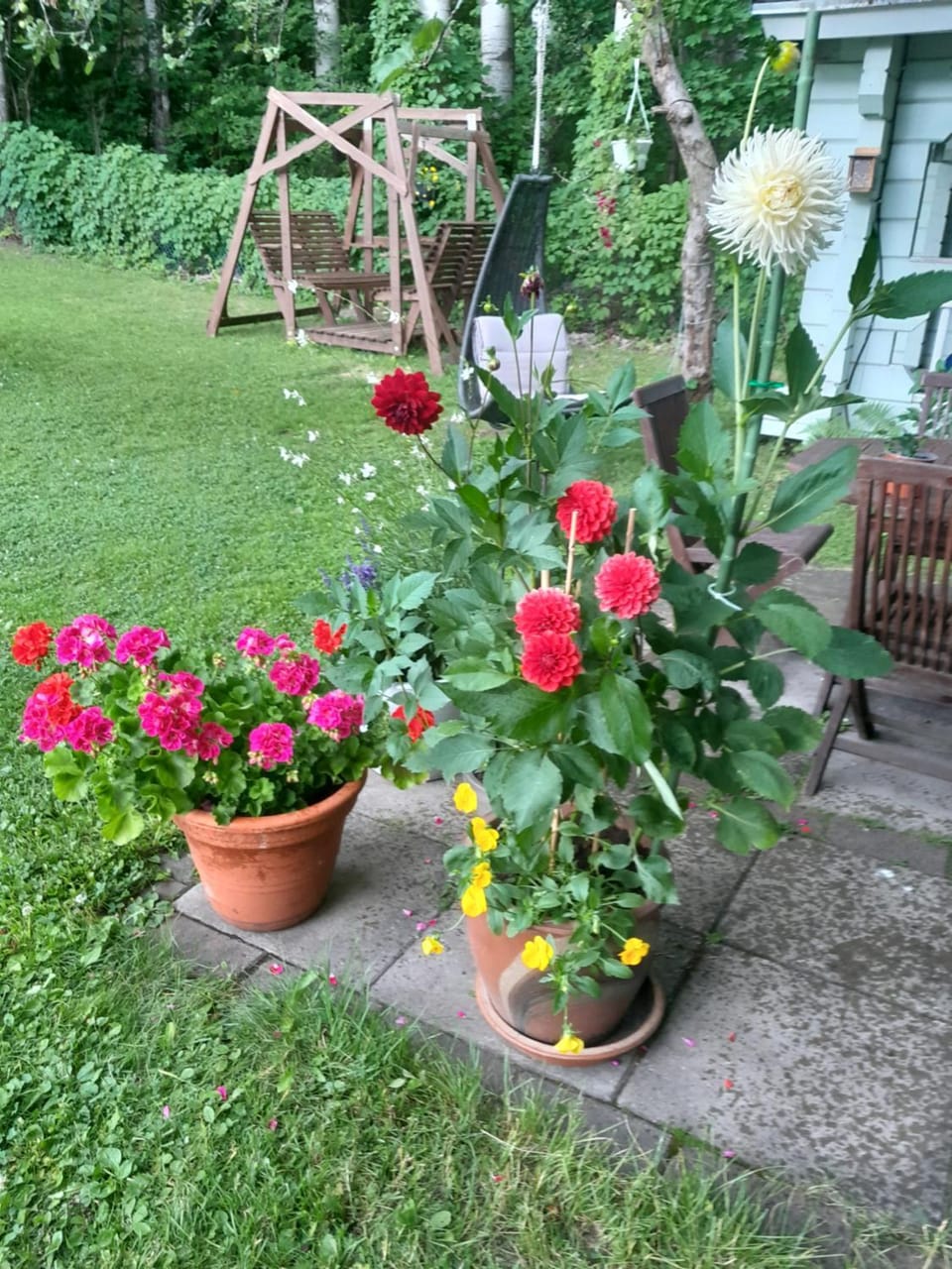 Balcony/Terrace, Garden view