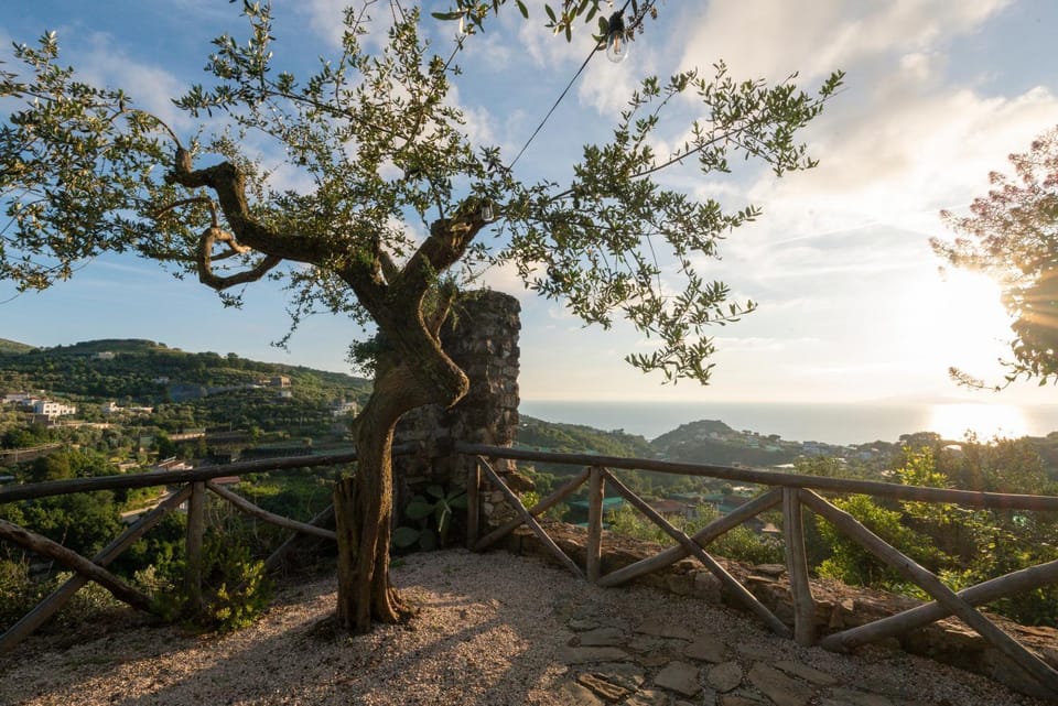 Natural landscape, Garden