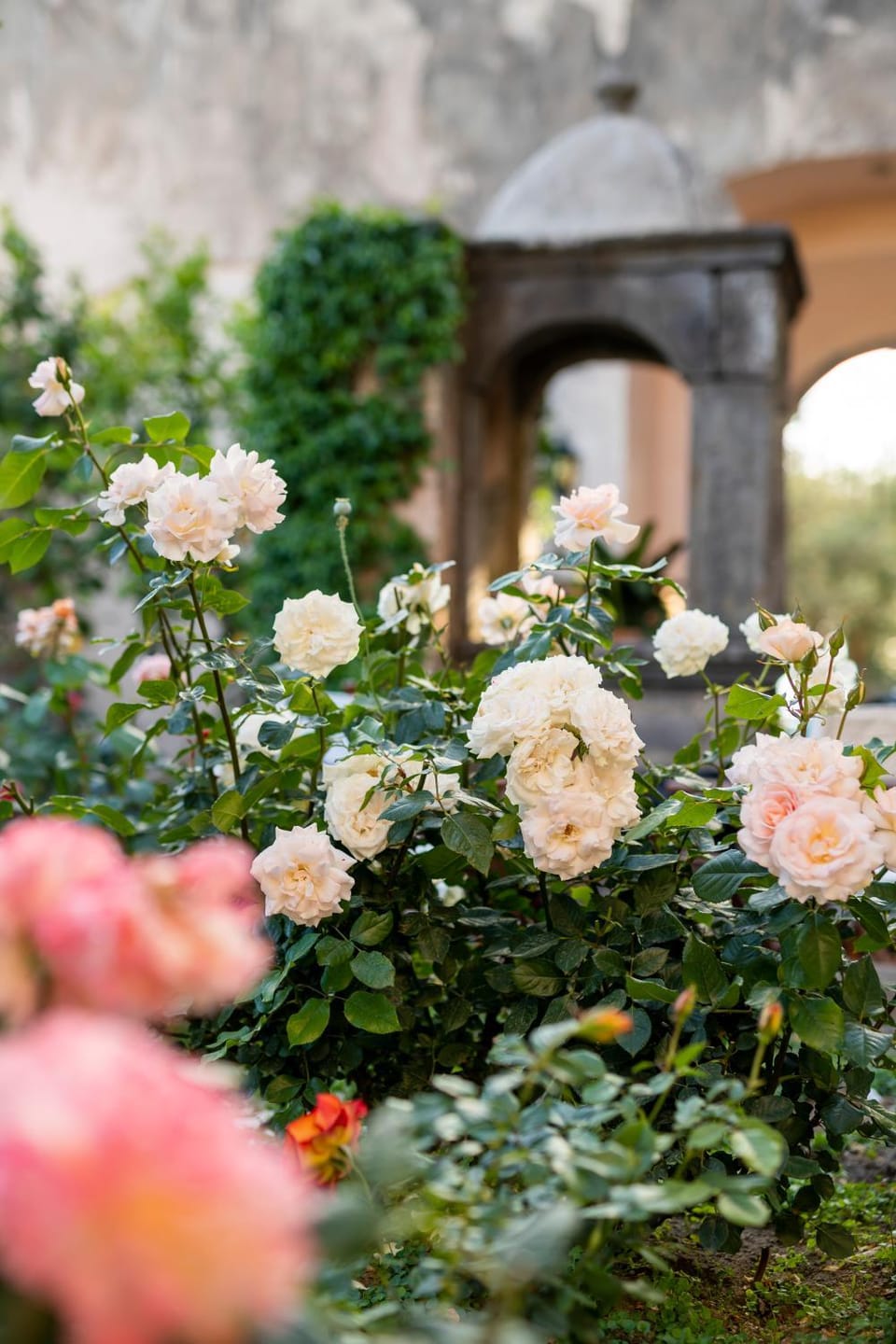 Garden, Inner courtyard view