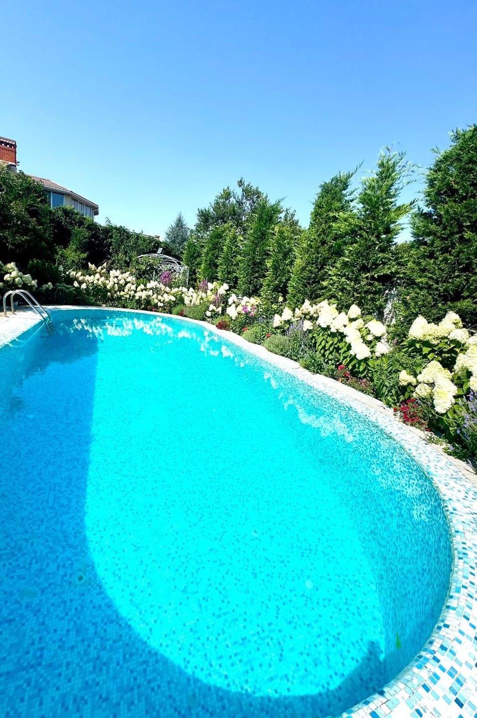 Pool view, Swimming pool