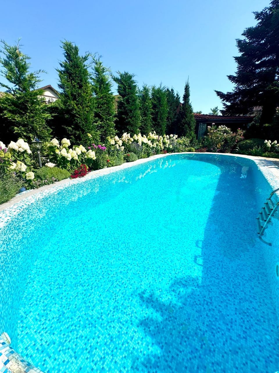 Day, Pool view, Swimming pool