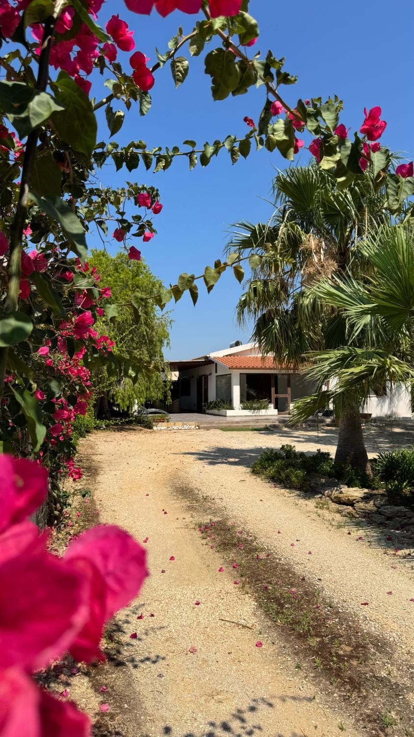 Villa Ammaliante Villa in Sicily