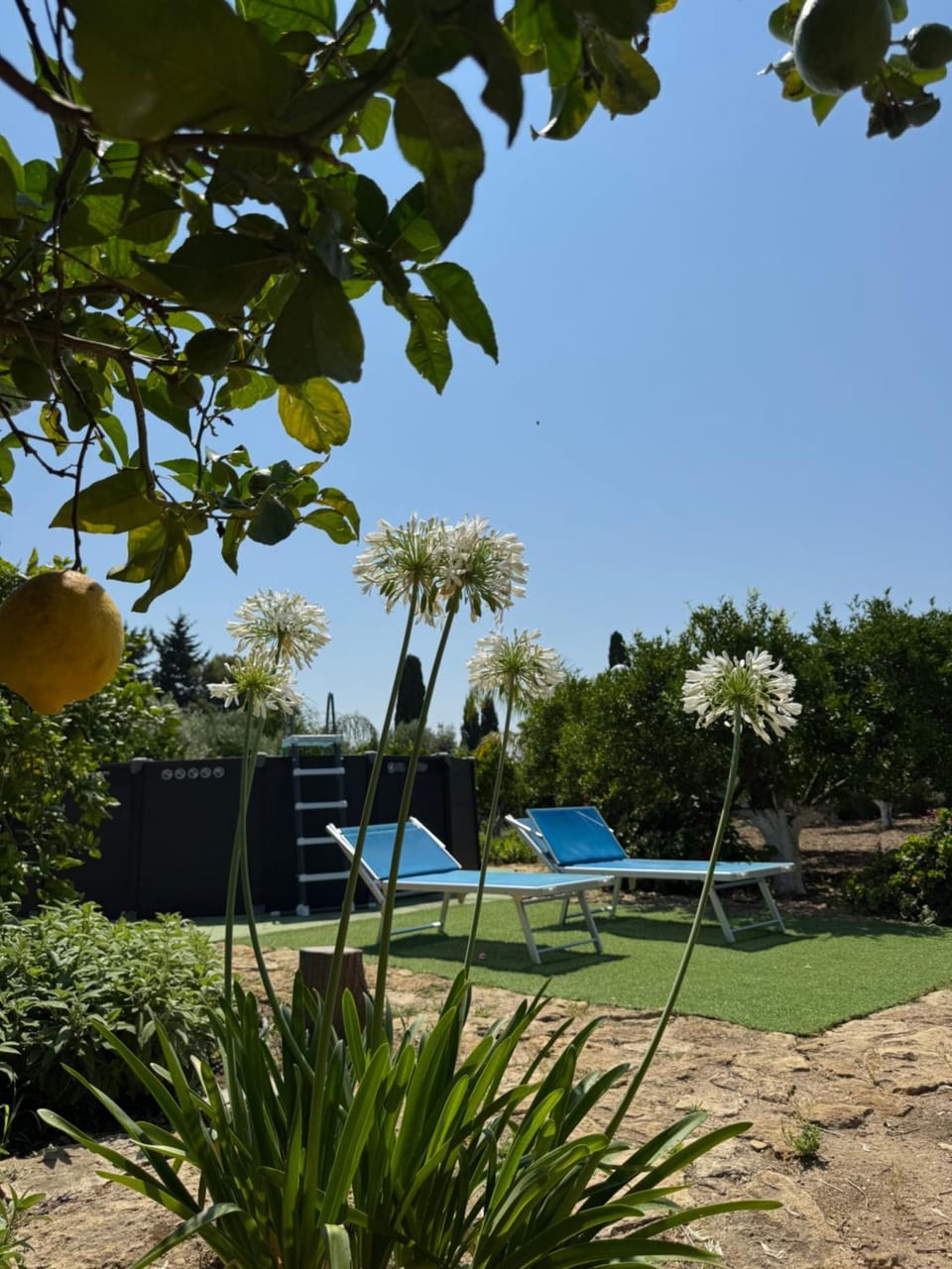 Villa Ammaliante Villa in Sicily