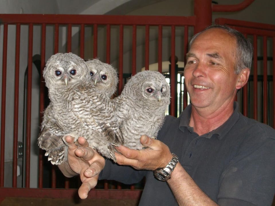 Other, Animals, Family