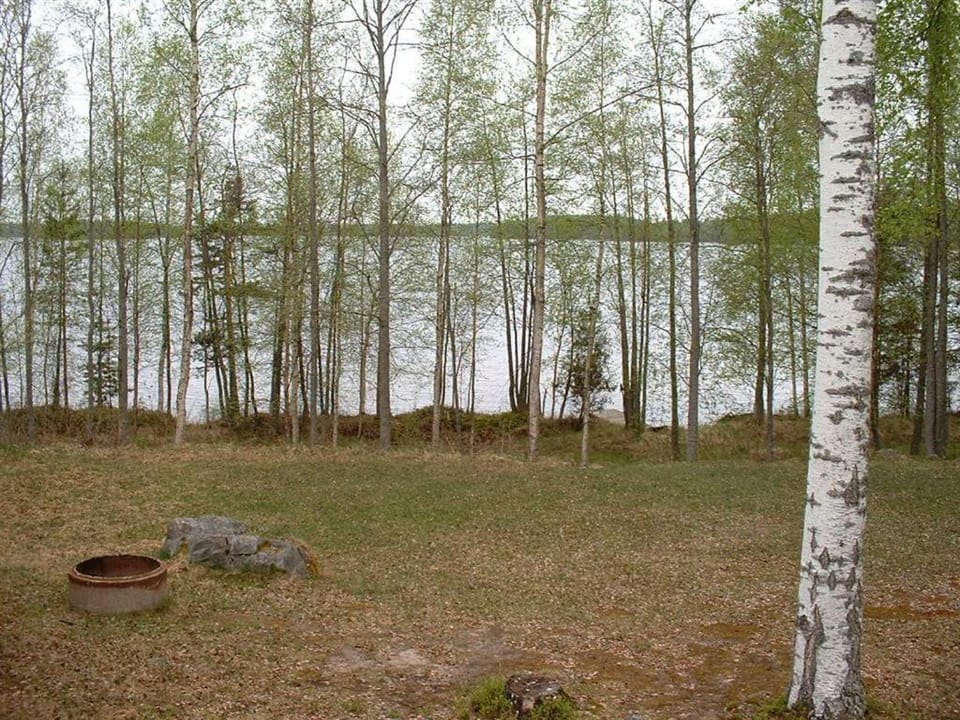 Natural landscape
