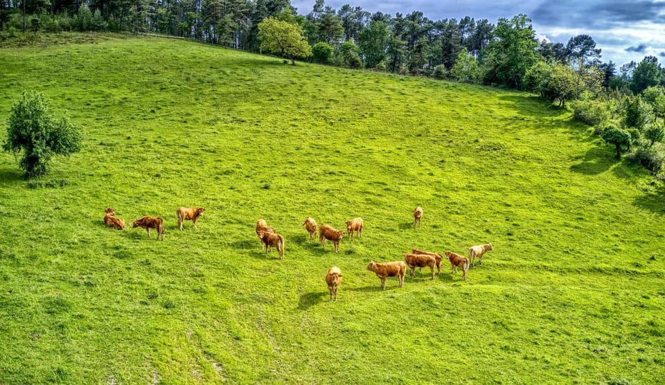 Natural landscape