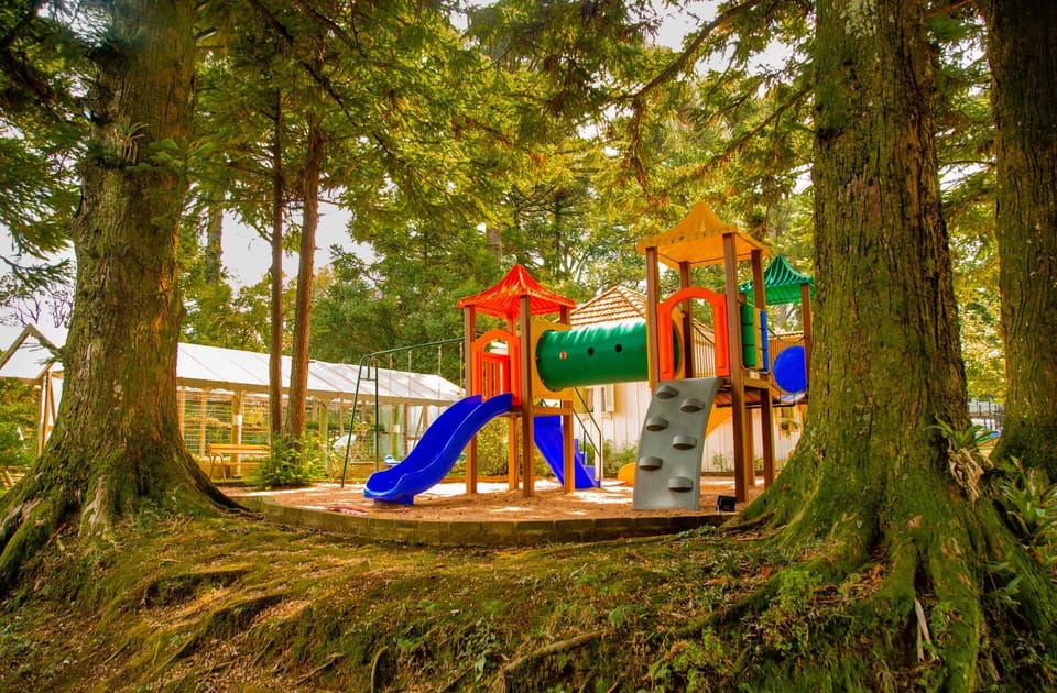 Children play ground
