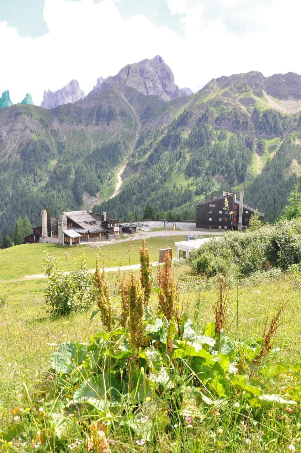 Piccolo Nido Falcade Apartment in Trentino-South Tyrol