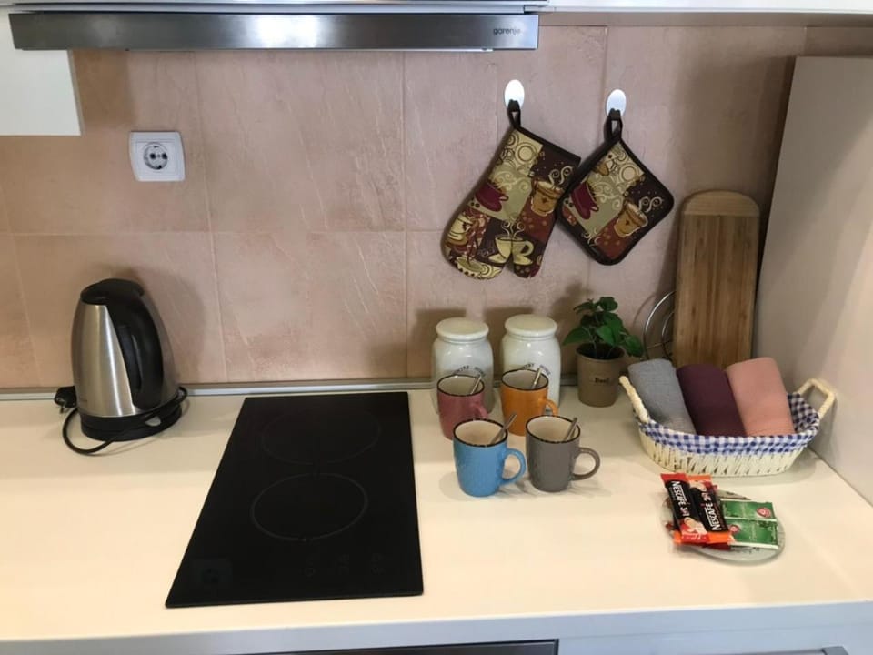 Apartman Sofia Apartment in Serbia