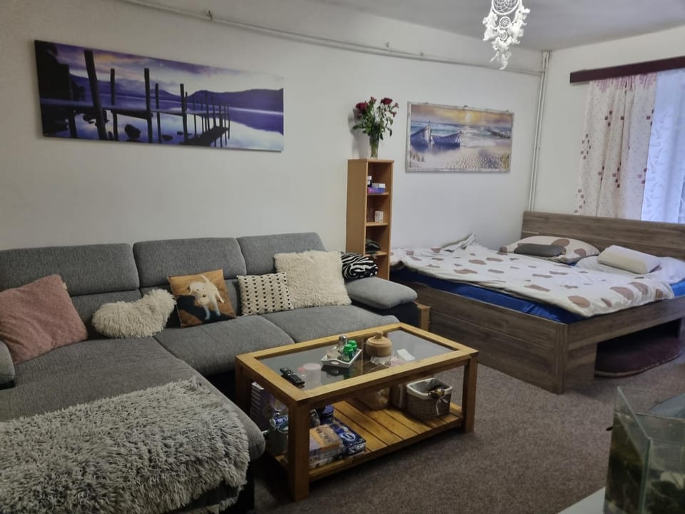 Penzion Tomy1 Bed and Breakfast in Horní Planá