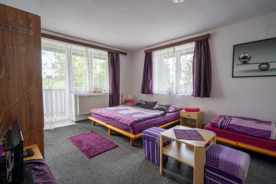 Penzion Tomy1 Bed and Breakfast in Horní Planá