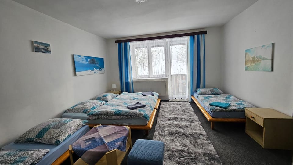 Penzion Tomy1 Bed and Breakfast in Horní Planá