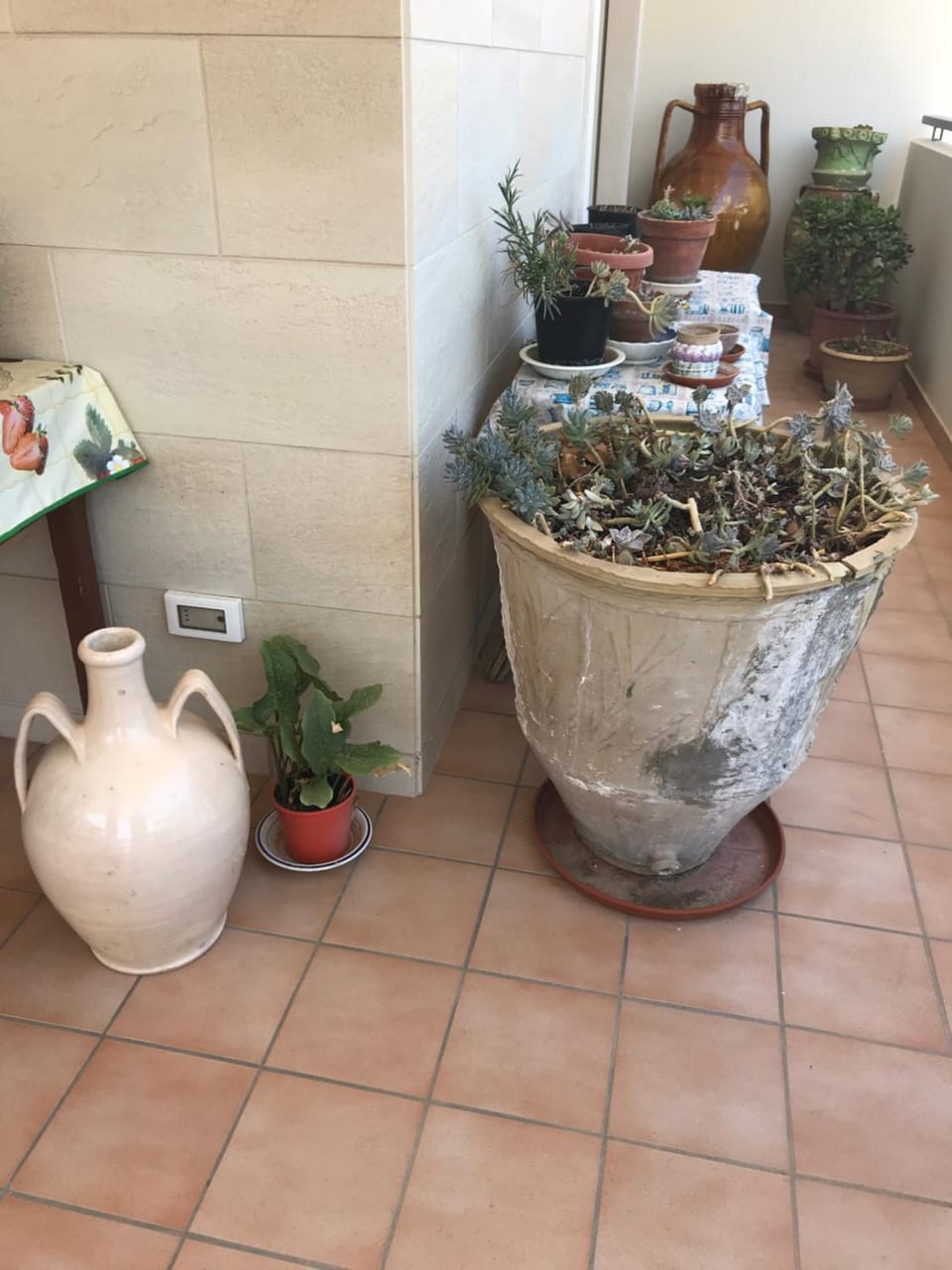 Lo scoglio Bed and Breakfast in Polignano a Mare