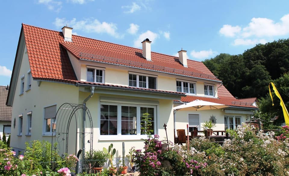 Property building, Summer