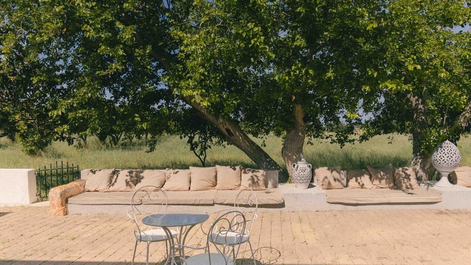 Patio, Spring, Garden, Garden view