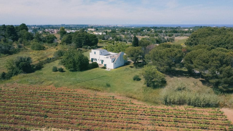 Property building, Spring, Day, Natural landscape, Bird's eye view, Garden, Garden, Garden view