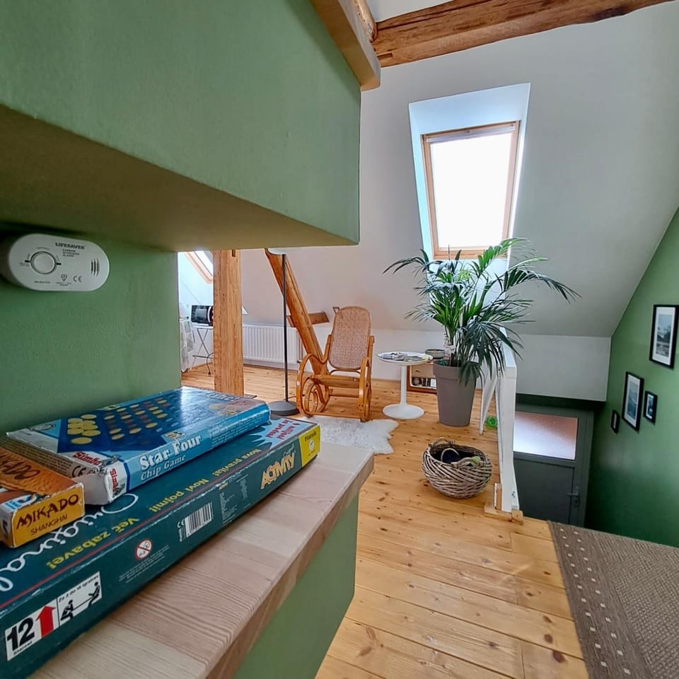 Entire Loft close to Beautiful Logar Valley Vacation rental in Slovenia