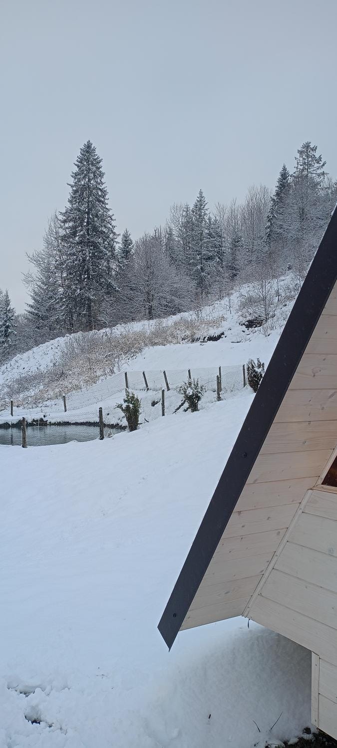Natural landscape, Winter