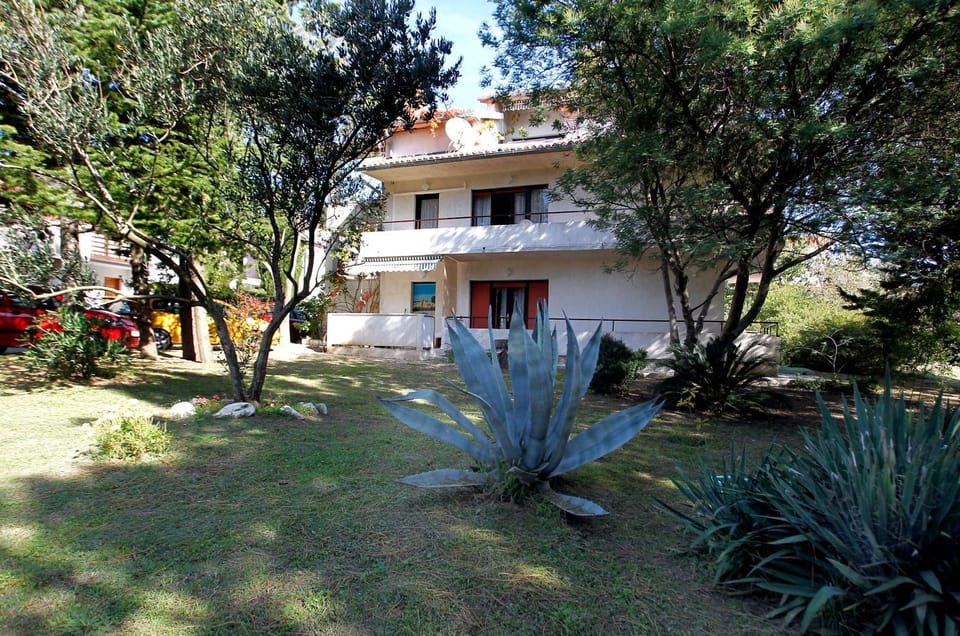 Property building, Day, Garden