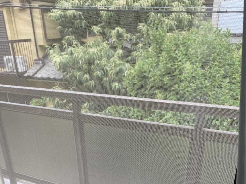 Day, View (from property/room), Balcony/Terrace